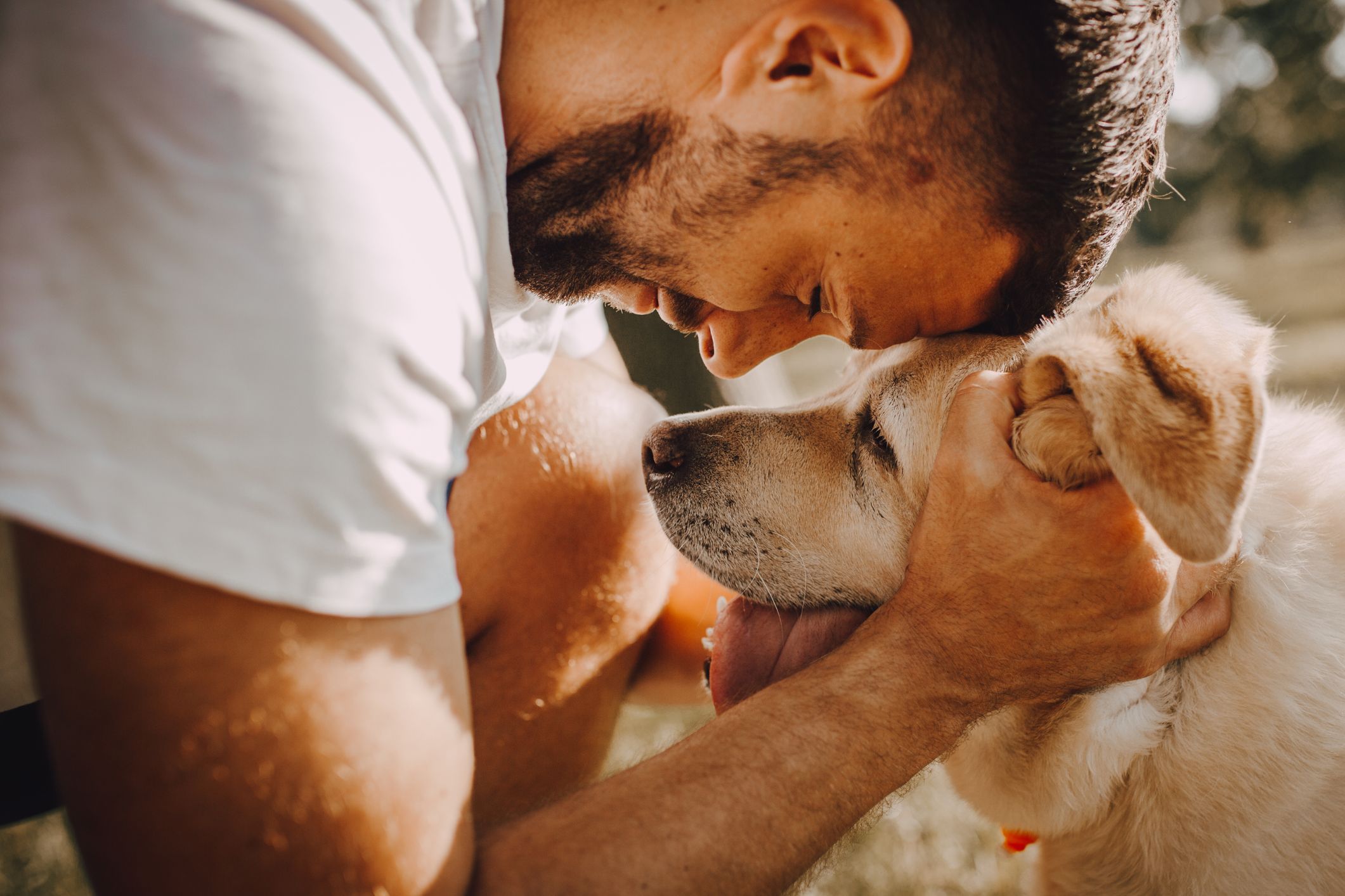 Board Members & Staff