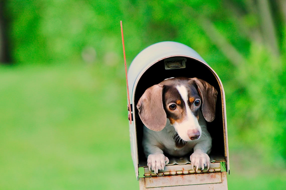 Email Newsletter Sign-up